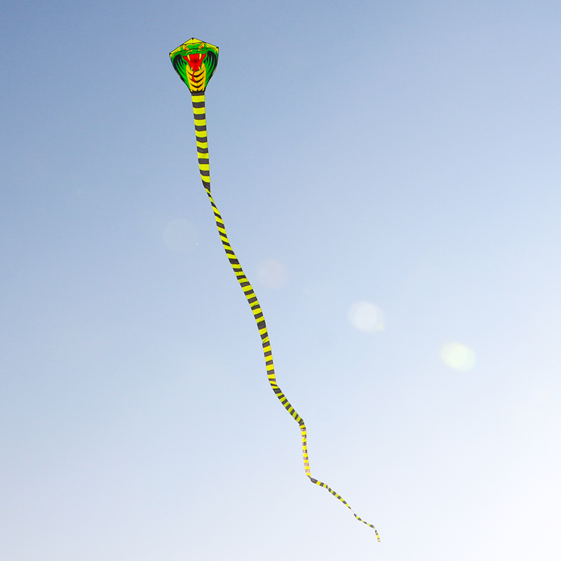 Paradise Bird 8m/15m Snake Kit - Outdoor Sport Outlet recensione e prezzo